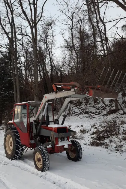 Suche Radgewichte für International 454