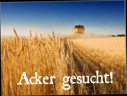 Acker, Wiese oder Wald gesucht!