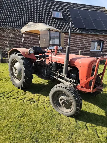 Massey Ferguson 35, Bj. 1957