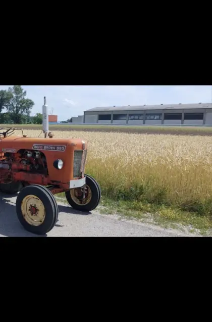David Brown 880 4-Zylinder Traktor mit hydr. Anlage