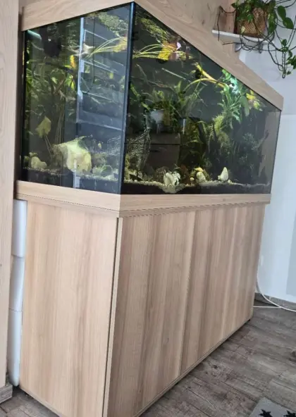 Verkaufe Aquarium Juwel Rio 450 mit Fluval FX4 Aussenfilter