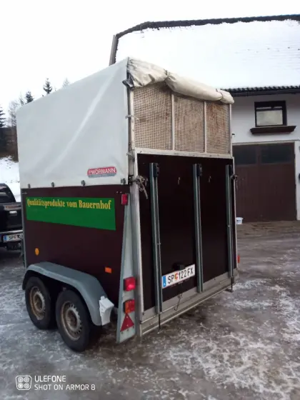 Pferdeanhänger, Viehanhänger