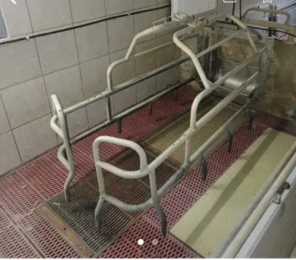 Abferkelstall Schauer Bräuer