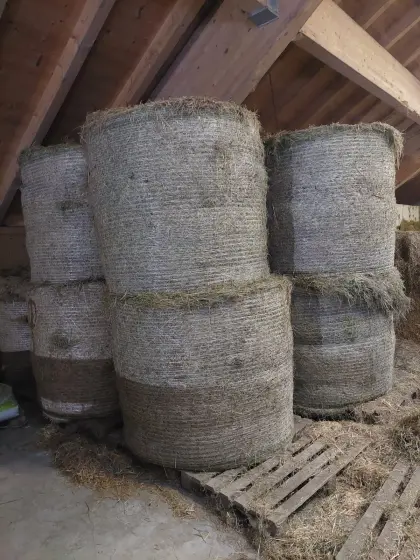 14 Heu und Grummetballen