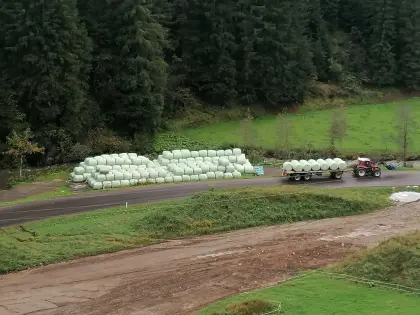 Silagerundballen zu verkaufen