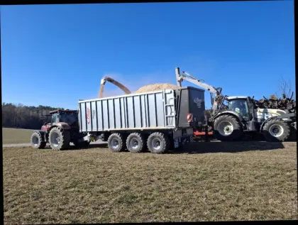 Hackschnitzel, Hackgut gemisch t hallengelagert
