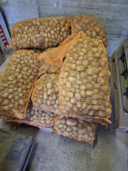 Futterkartoffel 25 kg abgesackt