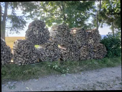 Brennholz Bündel