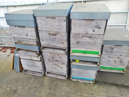 Bienen-Beuten Einheitsmaß Quadratisch