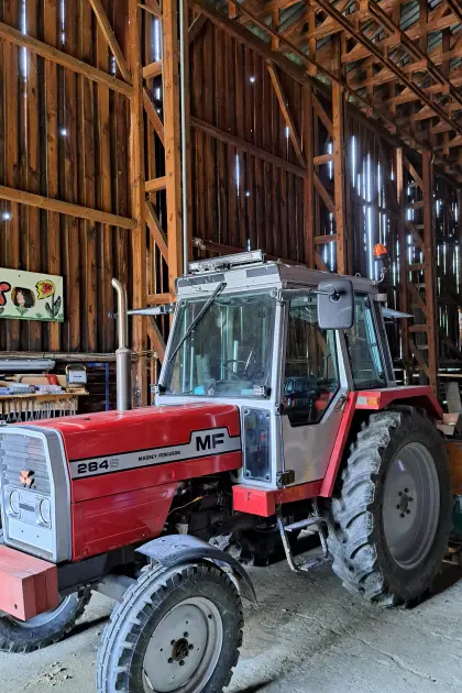 Massey Ferguson 284s
