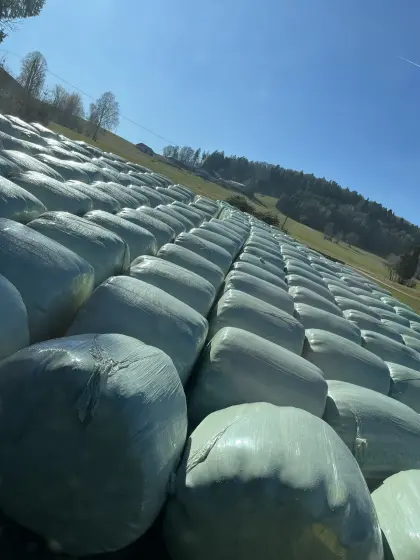 Siloballen Grassilage keine Heuballen Mais