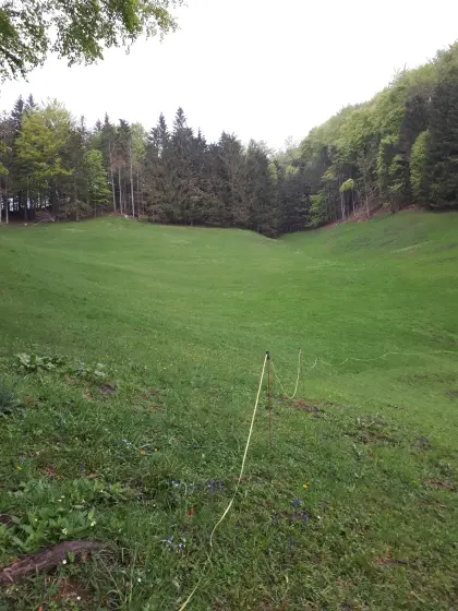 Landwirtschaftliche Fläche