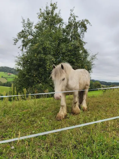 Einstellplätze frei