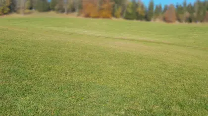 30 ha Landwirtschaft mit Hofstelle