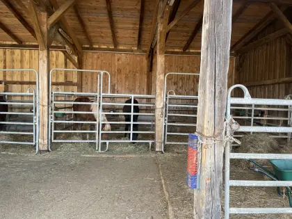 Pferde Einstellplätze