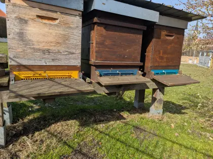 Wirtschaftsvölker auf Einheitsmaß Jumbo Rähmchen