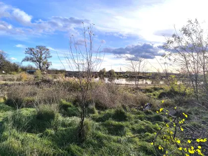 Baugrund beim See, Neusiedlersee, Ungarn, Burgenland