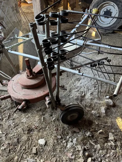 Schwader Vogel und Noot