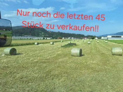 Bio Heuballen 1. Schnitt 2025