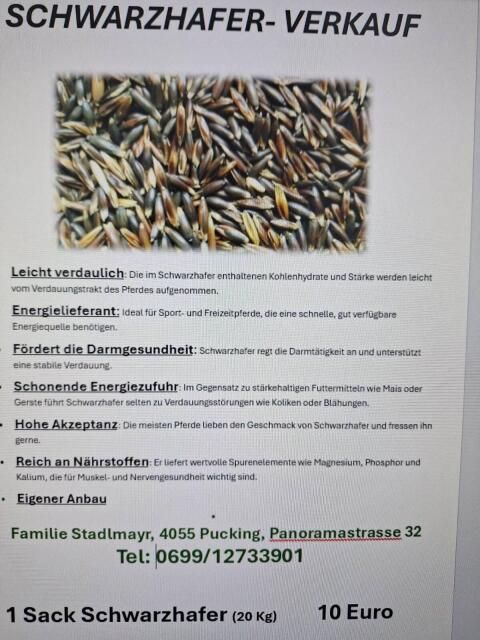 Schwarzhafer