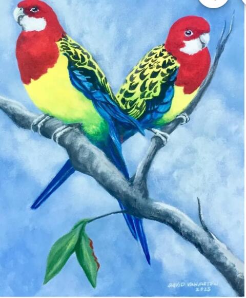 ROSELLA  Sittliche