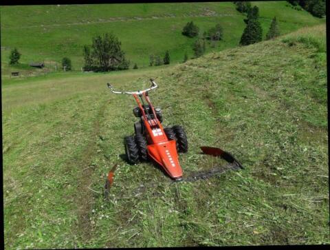 Reform 115 Balkenmäher