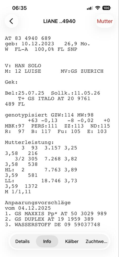 FV Kalbin Fleckvieh hochträchtig