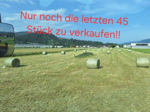 Bio Heuballen 1. Schnitt 2025