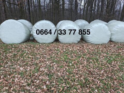 Verkaufe 10 Stk. Grassilageballen