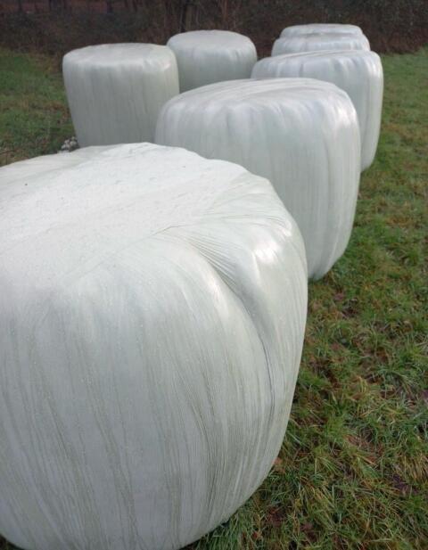 Silo Ballen 2ter Schnitt