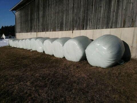 Silageballen