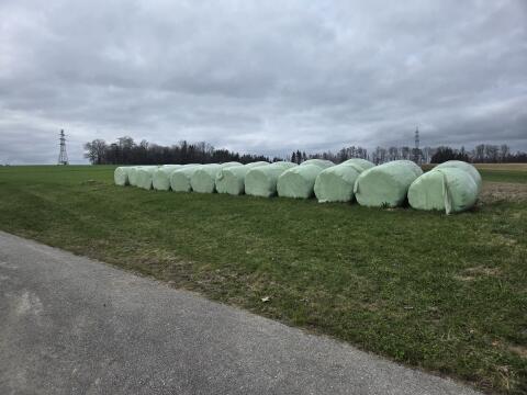 Silageballen