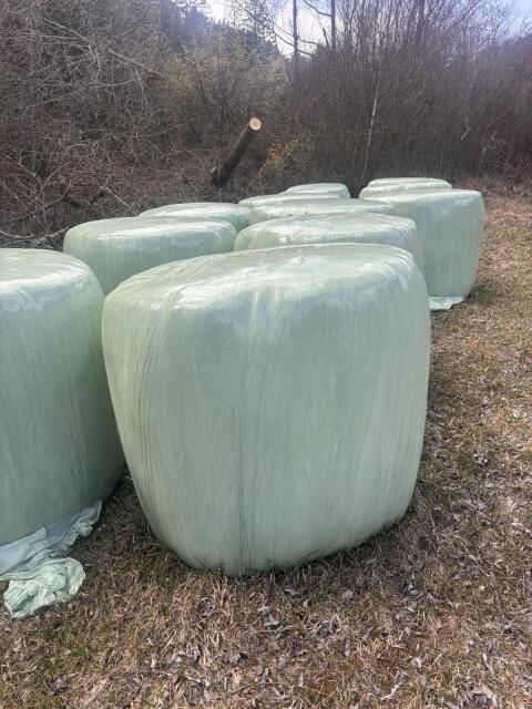 BIO Siloballen