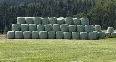 Grassilage-Ballen 4. Schnitt mit Futteruntersuchung