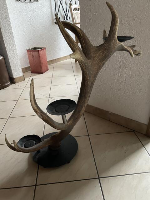 Rothirsch Geweih Kerzenständer
