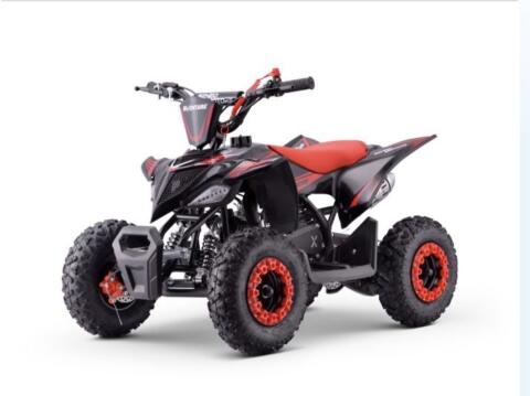 Kinder Quad 50 cm³