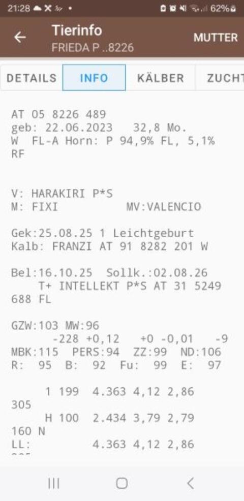 Bio Erstlingskuh - trächtig