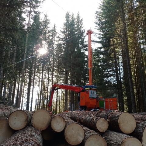 Syncrofalke Gebirgsharvester
