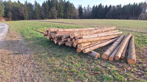 Brennholz zum selber machen