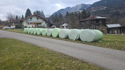 Silageballen