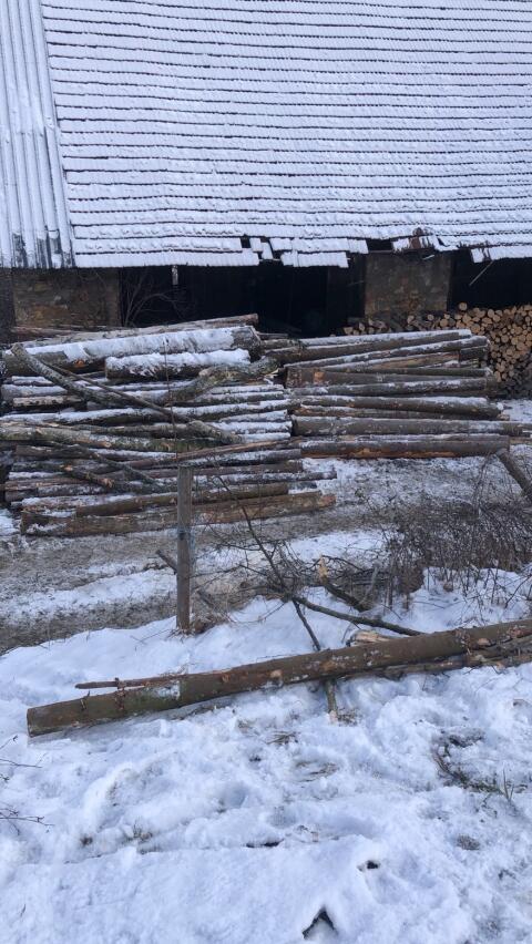 Brennholz
