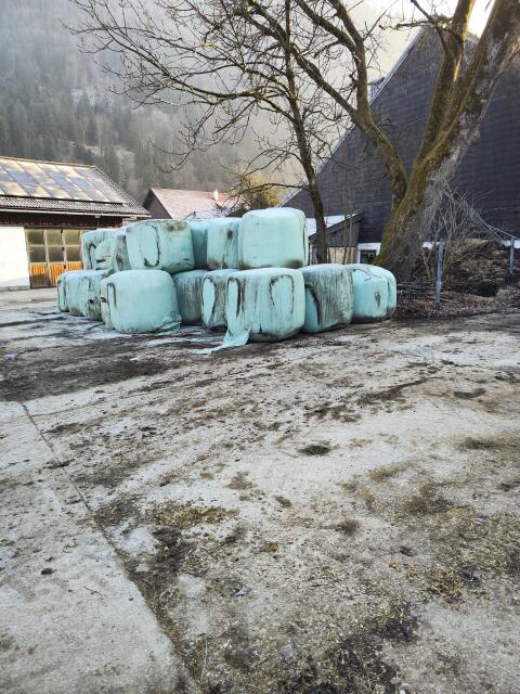 Silageballen