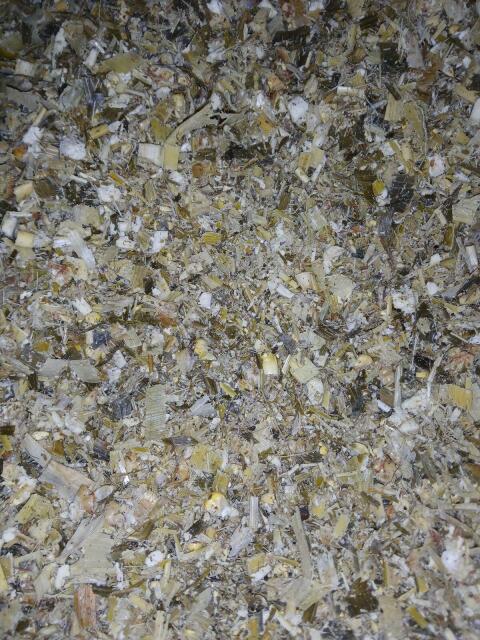 Bio Maissilageballen