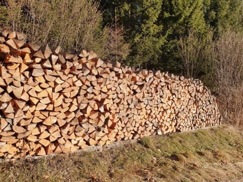 Brennholz