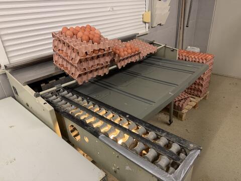 Moba 68 Eiersortiermaschine