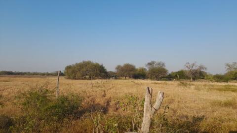 Investitionschance im Herzen Südamerikas - Paraguay