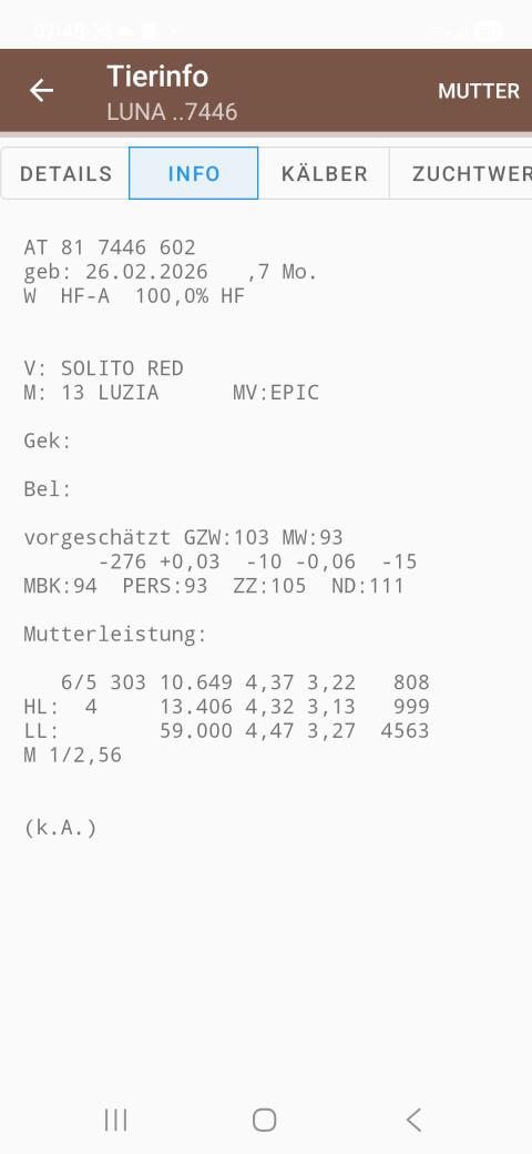 HF Kälber