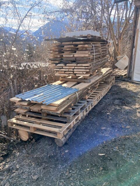 Tischler Holz Esche Kernesche