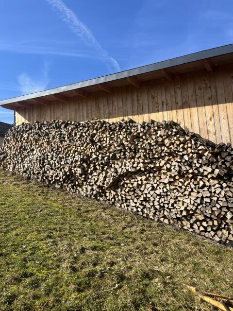 Brennholz hart