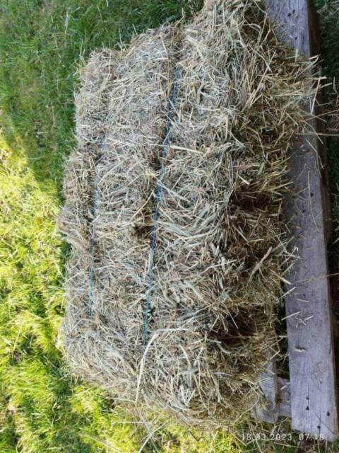 Heuballen